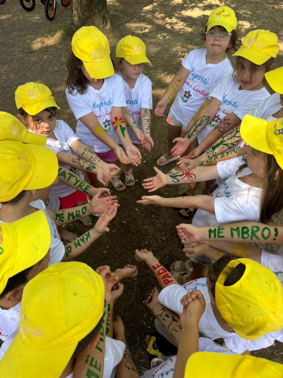 47c17a2f f10d 4bbb b610 04199902ab3f